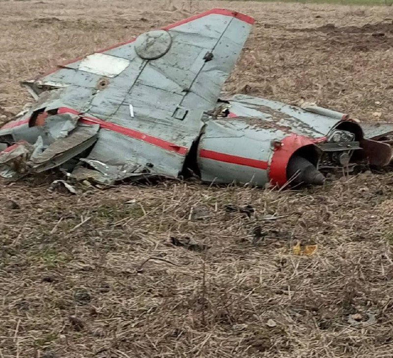 The wreckage of a destroyed Strizh drone in the Bryansk region